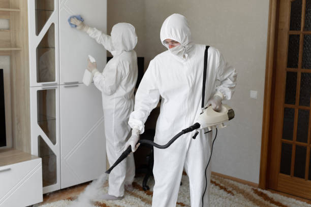 Professional Mold Remediation in Windsor, IL