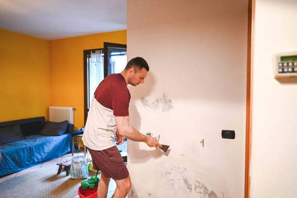Best Mold Remediation for Schools in Windsor, IL